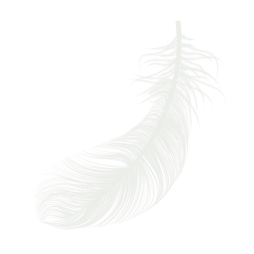 Fjaer_2